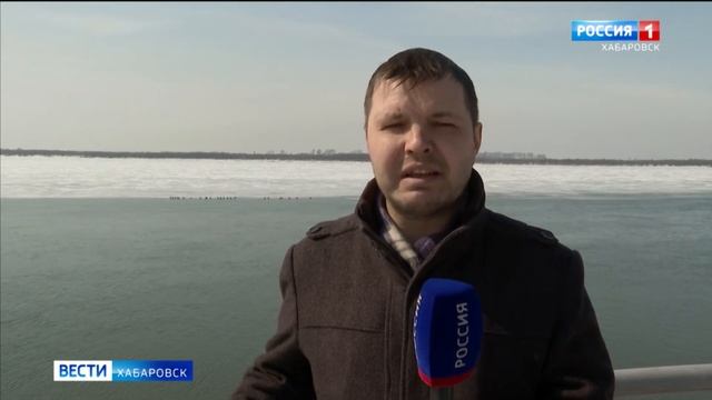 Жители Хабаровска устроили фотосессию с бакланами: в регион возвращаются перелётные птицы смотреть онлайн