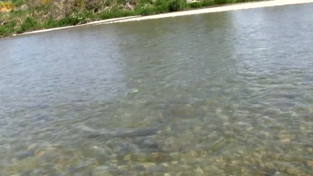 Small Stream Fly Fishing NZ - NEW DOUGLAS SKY G ROD смотреть онлайн