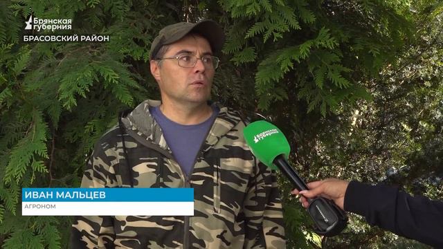 Специалисты приводят в порядок сад Площанской пустыни в Брасовском районе Брянщины смотреть онлайн