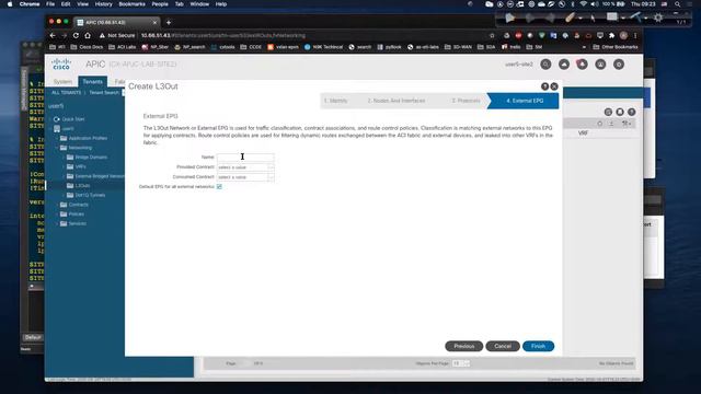 10. ACI Basic : L3out (Demo) смотреть онлайн