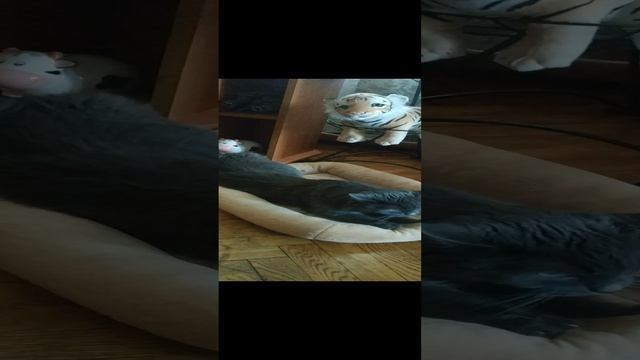 массаж от Симки смотреть онлайн