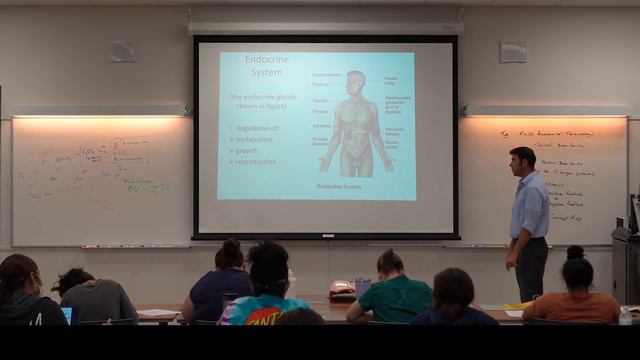 Anatomy & Physiology I Lecture #2 - Human Body Systems смотреть онлайн