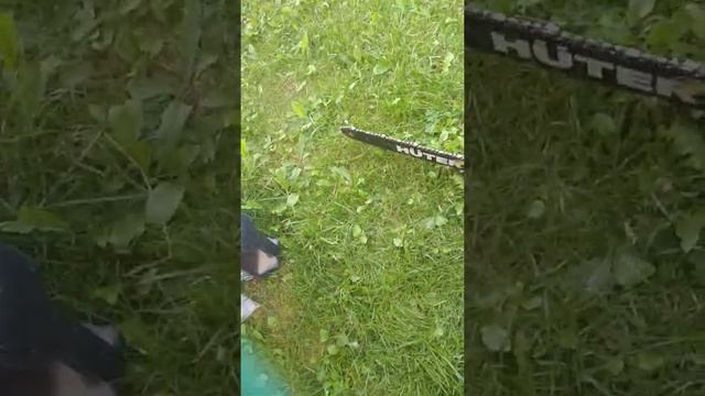 VID 20210709 125806 смотреть онлайн