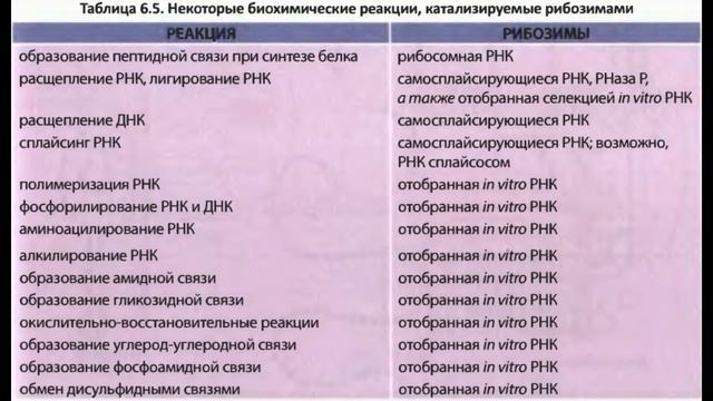 Мир РНК и происхождение жизни смотреть онлайн