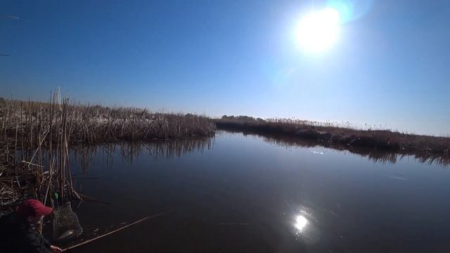 Открываем летний сезон 2022 #рыбалка #карась #поплавок смотреть онлайн