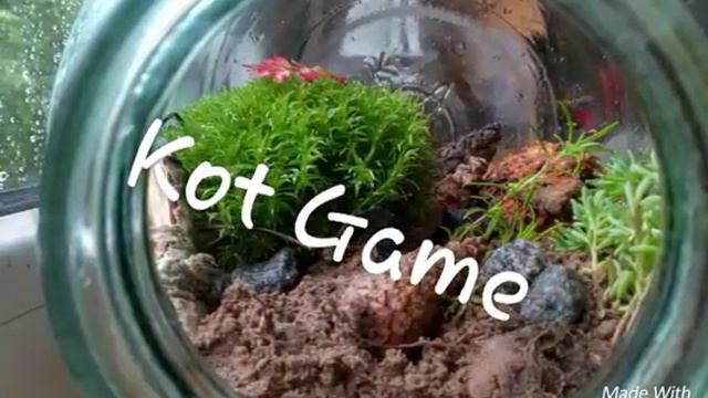 ПОСМОТРЕЛ,ПОДПИСАЛСЯ,ПОСТАВИЛ ЛАЙК? смотреть онлайн