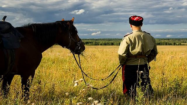 КАЗАЦКАЯ ЗАСТОЛЬНАЯ -- Влад НЕЖНЫЙ смотреть онлайн