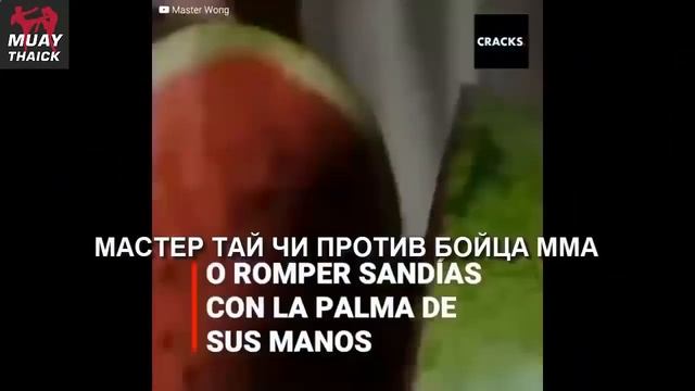 ДУРАЧКИ КОТОРЫЕ ВЫЗВАЛИ НА БОЙ ПРОФЕССИОНАЛОВ(ЗРЯ) - ММА, РУКОПАШКА ДЖИУ ДЖИТСУ, БОКС смотреть онлайн