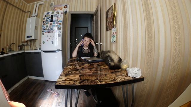 Как устроиться на работу! ВСЯ ПРАВДА о МАГАЗИНАХ! смотреть онлайн