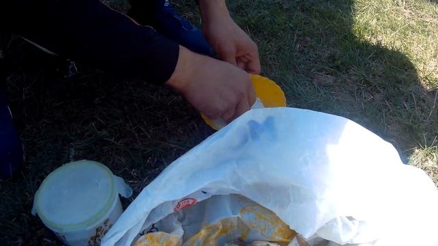 Рыбалка на подъемник-паук. чебак, елец! жарим на природе рыбу! смотреть онлайн