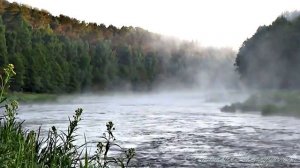 Настрой Георгия Сытина - Молодая энергичная печень