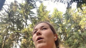 давно не виделись:) лес, прогулка с собакой, спокойный влог