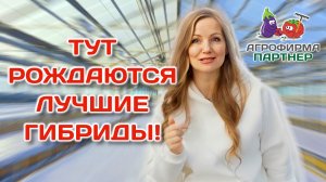 Экскурсия по агрокомбинату | Репортаж из самого сердца «Агрофирмы Партнер»