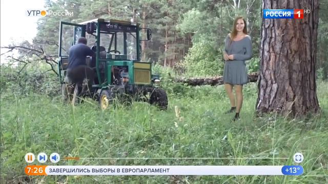 В лес за дровами смотреть онлайн