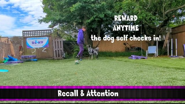 RECALL Games смотреть онлайн