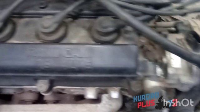 ?СВАП Багги, стартуем??? смотреть онлайн