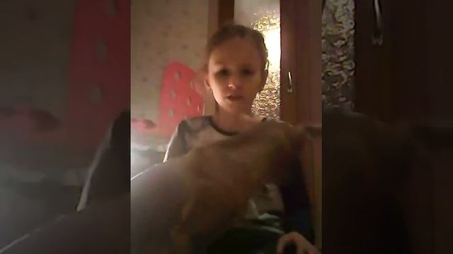 2-ая часть как правильно научить собаку сидеть смотреть онлайн