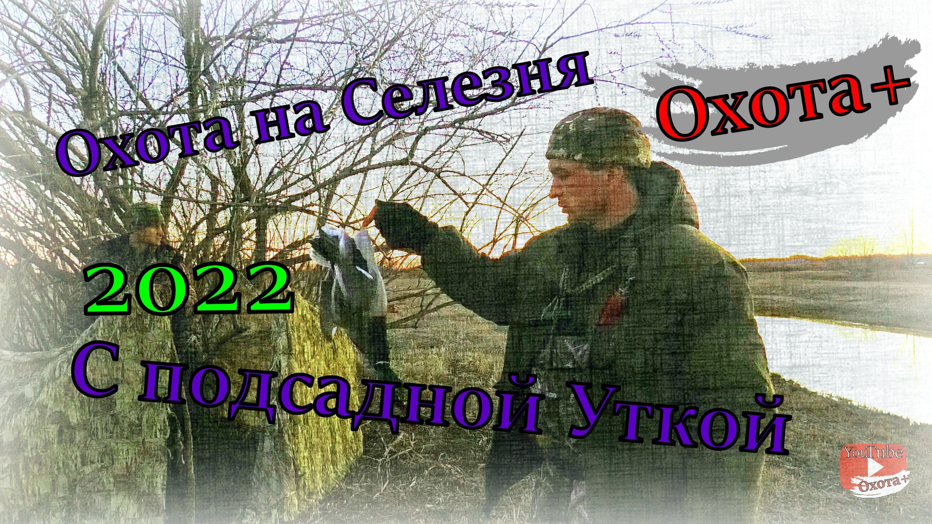 Охота на Селезня с подсадными утками Весна 2022, подсадные утки работали #Охота #Селезень #Подсадные смотреть онлайн