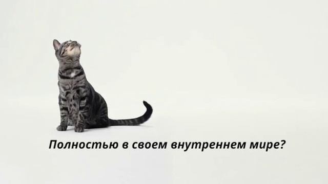 funktionspasten taurin смотреть онлайн