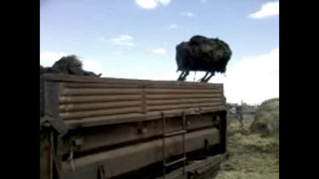 Погрузка навоза МТЗ 80 смотреть онлайн