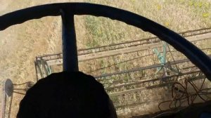 Комбайн Нива СК 5 уборка голозёного овса 2 й день
