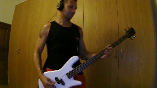 Tear It Down - Skid Row - Bass Cover смотреть онлайн