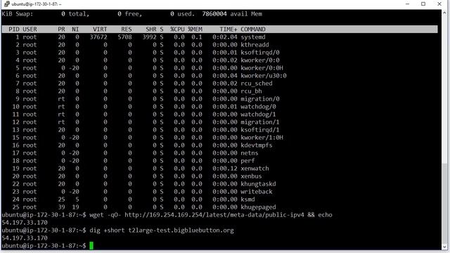 Installing BigBlueButton 2.0-beta on a t2.large using bbb-install.sh смотреть онлайн