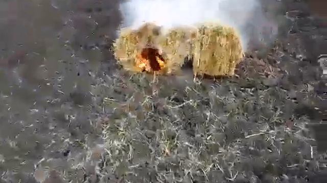 Как защитить сад от весенних заморозков смотреть онлайн