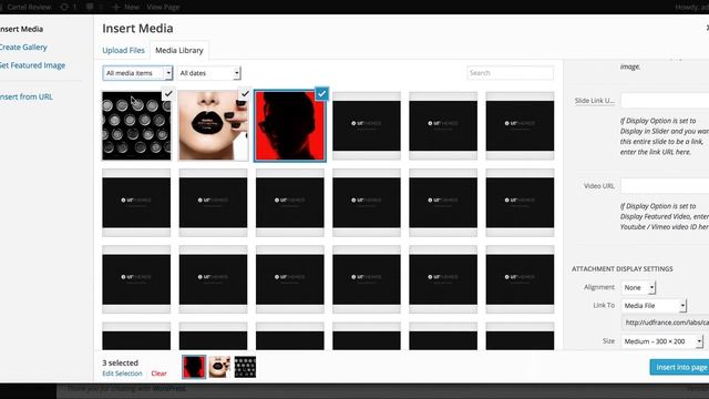 Cartel WordPress Theme - Homepage Slider Setup смотреть онлайн