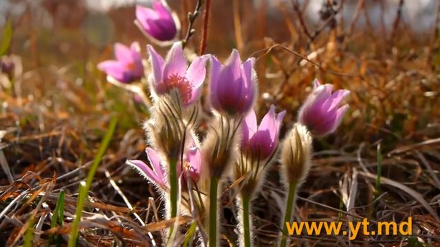 Медитация и пути к ней. Что есть настоящая медитация смотреть онлайн