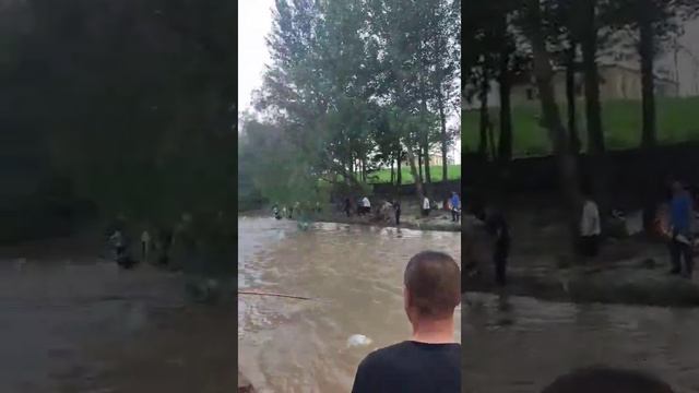 Рыба Амазонии смотреть онлайн