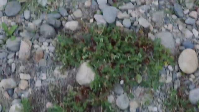 Жизнь и наука в Тункинском астрофизическом центре смотреть онлайн