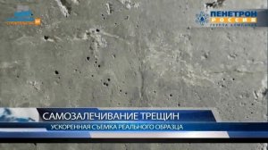 Самозалечивание