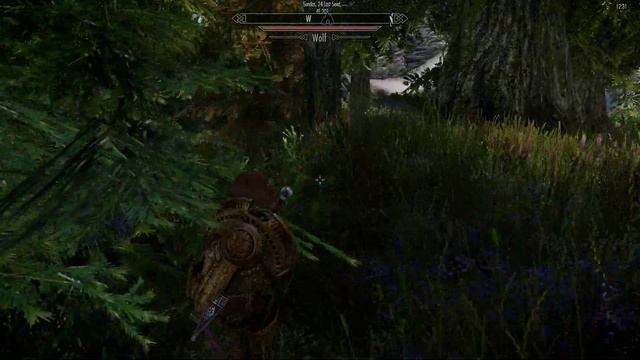 The Elder Scrolls V Skyrim Special Edition test enb смотреть онлайн