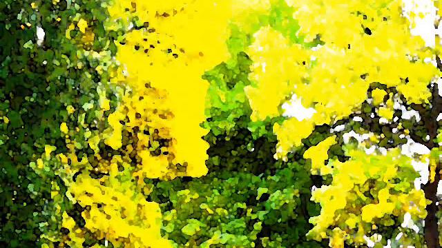Amos Lee - Colors смотреть онлайн