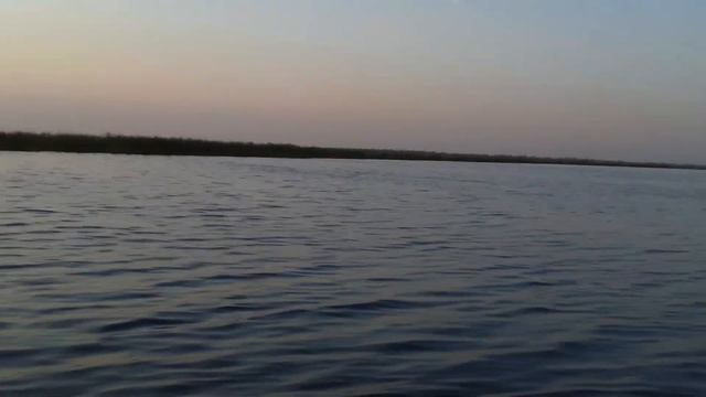 Ловим щуку на Дунае смотреть онлайн