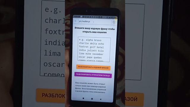 Как открыть пайкойн-кошелек (pi wallet) традиционным способом. Видео от 21 февраля 2022г смотреть онлайн
