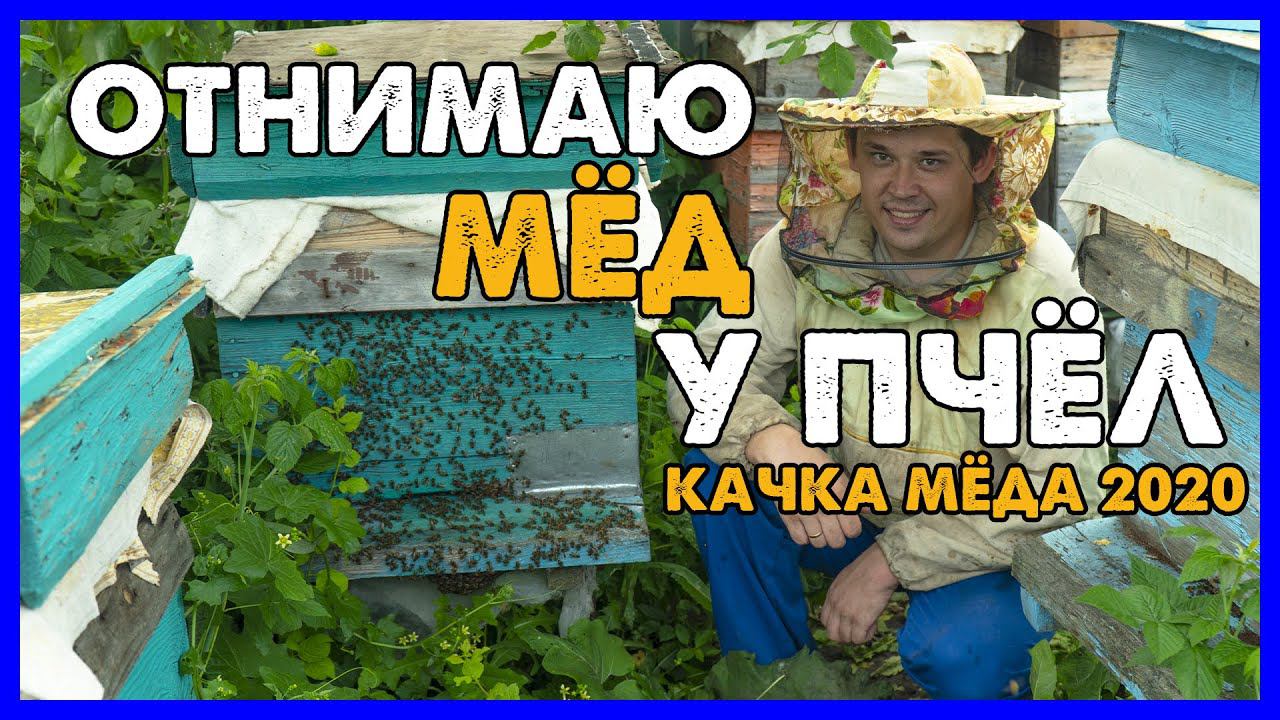 ОТКАЧКА МЁДА 2020 \ отбор меда\ Honey compilation Russia \ смотреть онлайн
