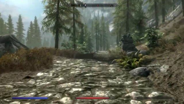 Относим сумку Вернеру в Черный брод в The Elder Scrolls V Skyrim - Special Edition ( игра за мага смотреть онлайн