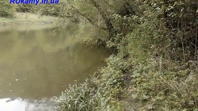 Рыбалка на спининг. Голавль на майского жука. смотреть онлайн