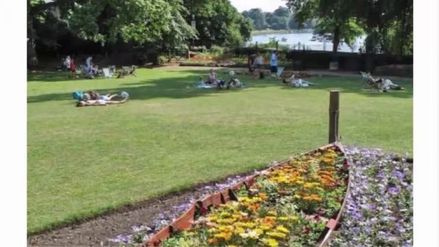 Клумба в виде лодки (10 фото) идей для дачи. смотреть онлайн