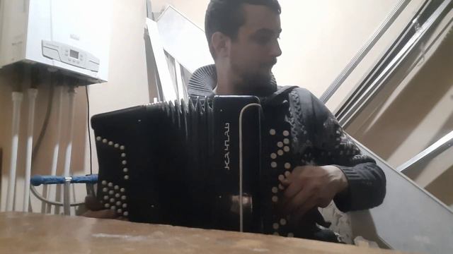 небольшой ремонт баяна ,,Кунгур,, смотреть онлайн