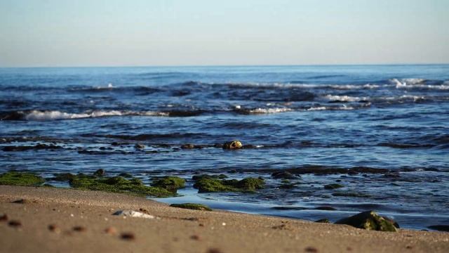 4K-видеосъёмка на Sony ILCE-6600 смотреть онлайн