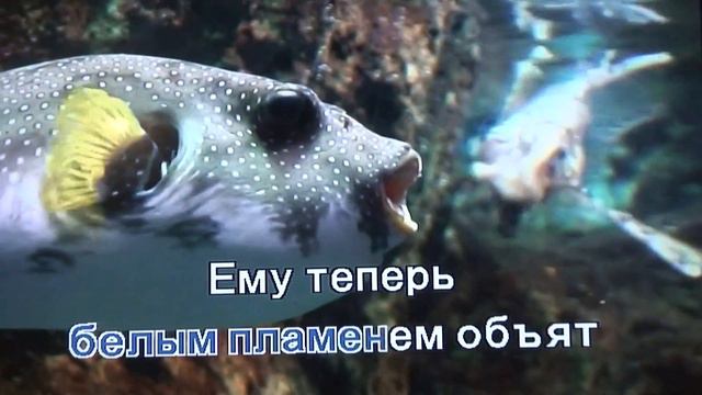 Зимний сад смотреть онлайн