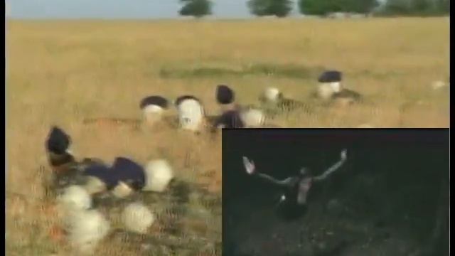 Луганские кадеты НПЗ 10 класс ЗОМП смотреть онлайн