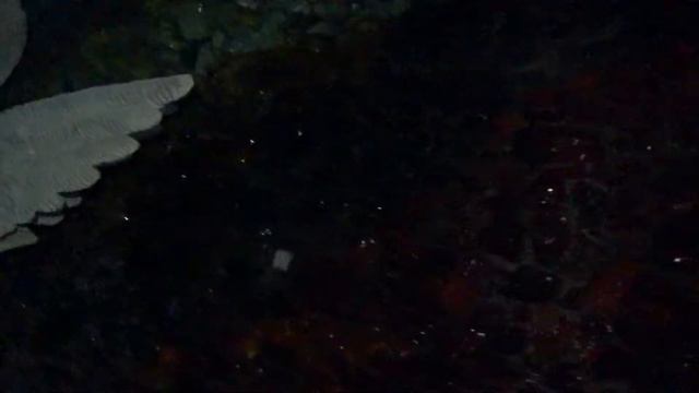 Польша. Poland. Лихень. Базилика. Голгофа-3. 01.12.2017. смотреть онлайн
