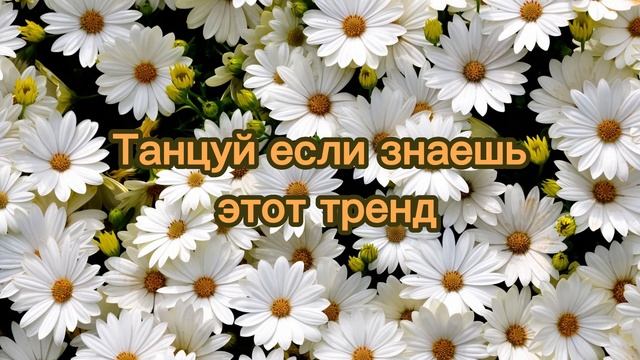 Танцуй если знаешь этот тренд смотреть онлайн