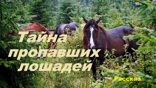 Тайна пропавших лошадей.. 2 (рассказ)