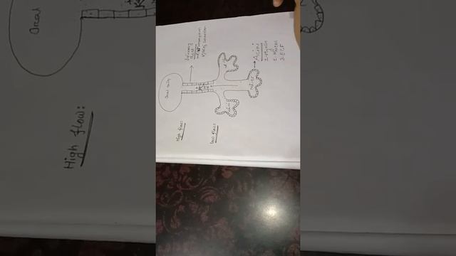 How does the composition of saliva change with flow rate? || Saliva || GIT ||physiology смотреть онлайн