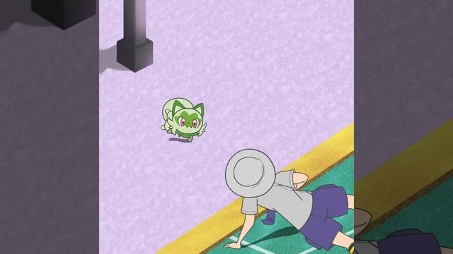 Dance, Sprigatito! Dance!
